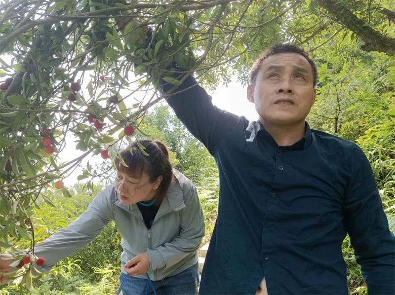 1655884115919082.jpg 07.jpg