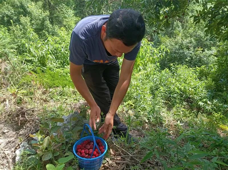 1655884186267754.jpg 09.jpg